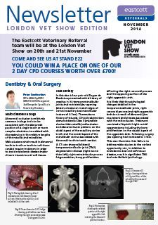 London Vet Show Special Edition